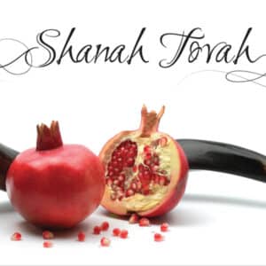 Shanah Tovah Card - Pomegranate Halves - Cape Town Holocaust and Genocide Centre