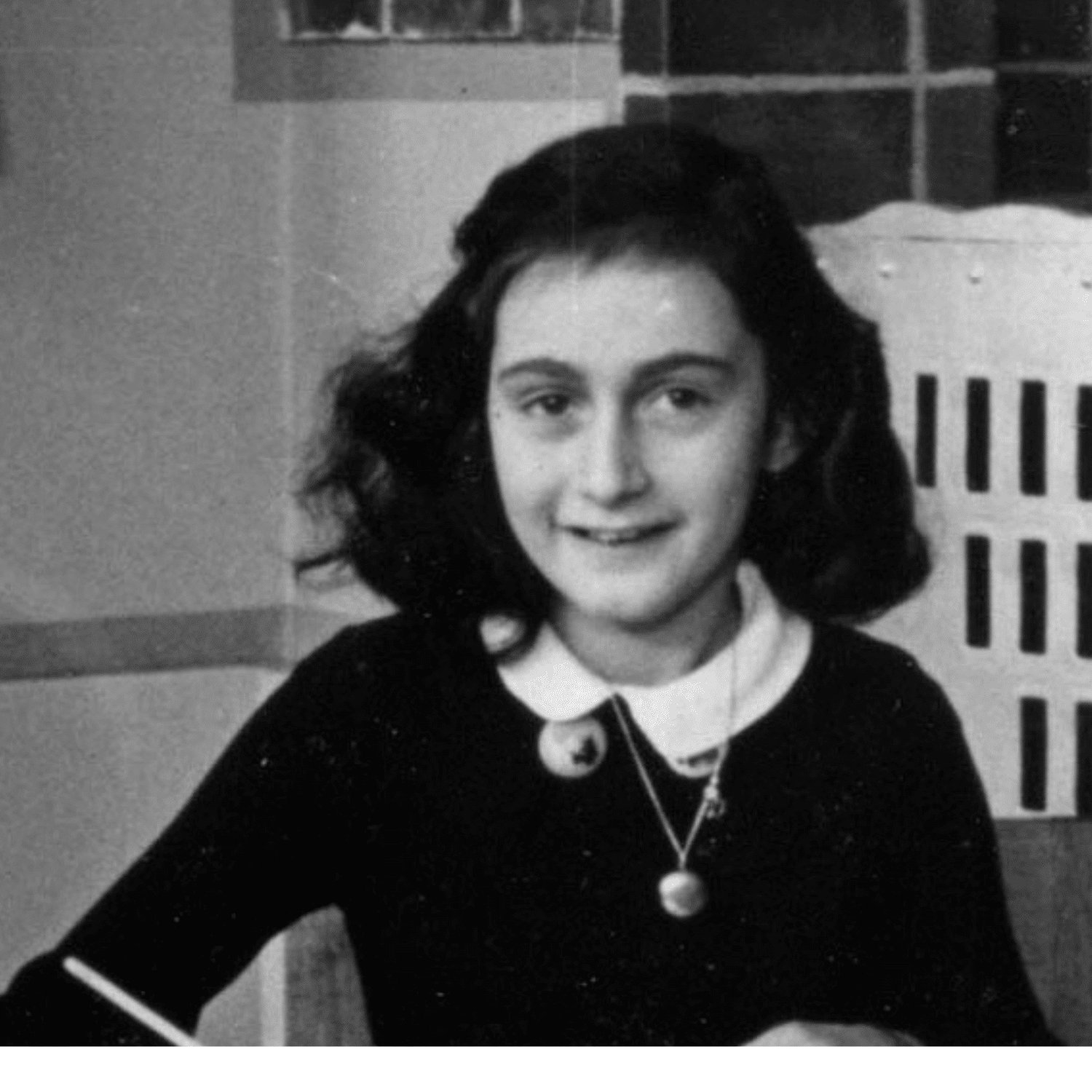 Ann Frank: A History for Today